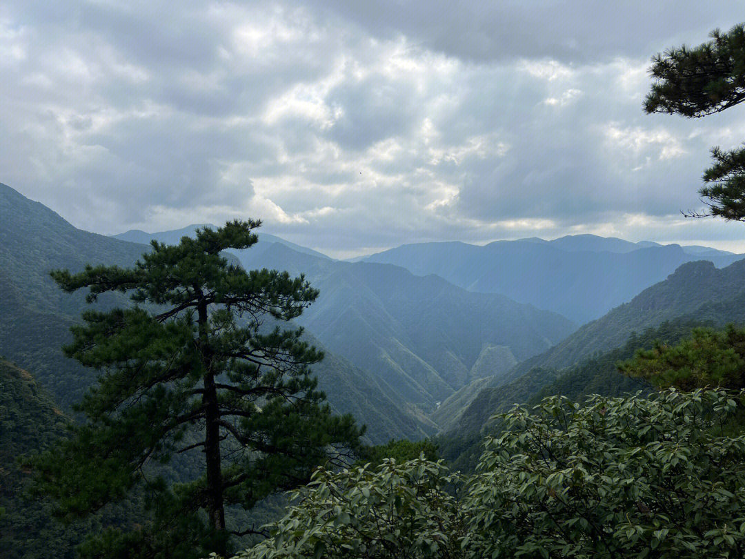 5 到达丽水龙泉山,住在半山腰的猎户山庄,海拔1500米左右,有车可以开