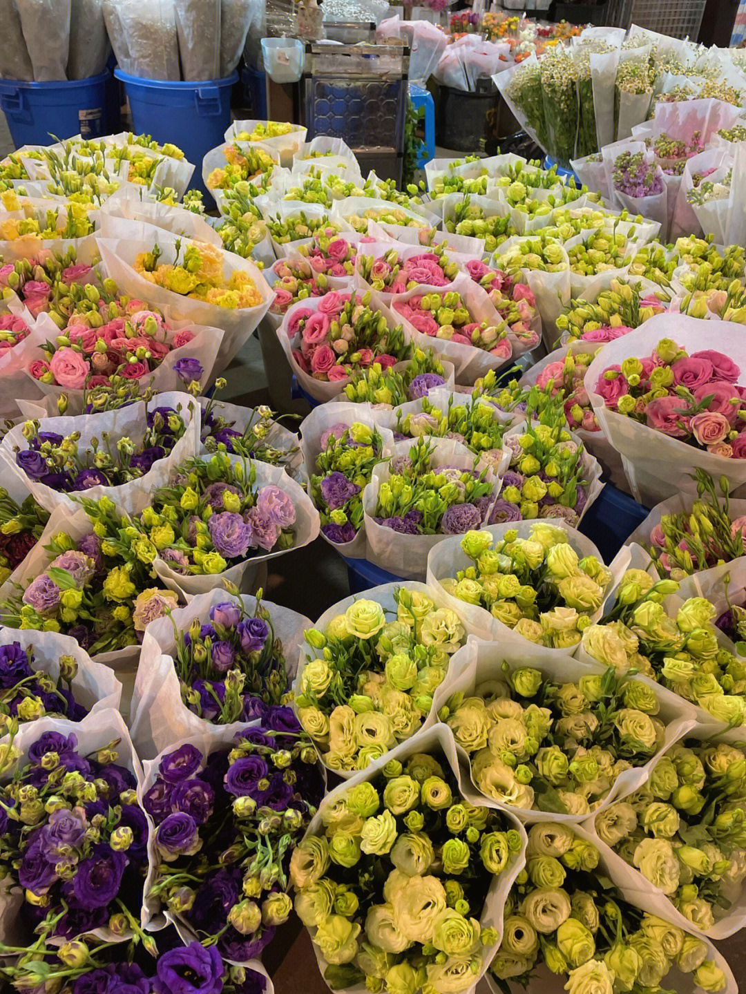 成都万福花卉市场图片