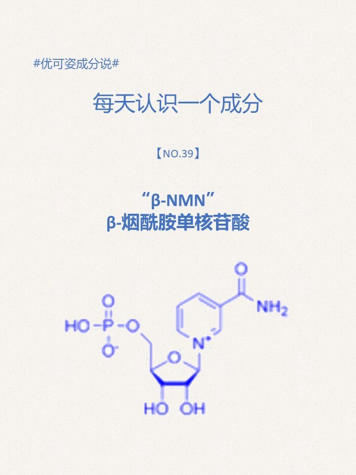 成分说iβnmnβ烟酰胺单核苷酸