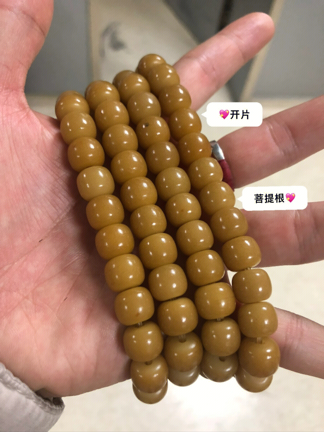 菩提根多久开片图片