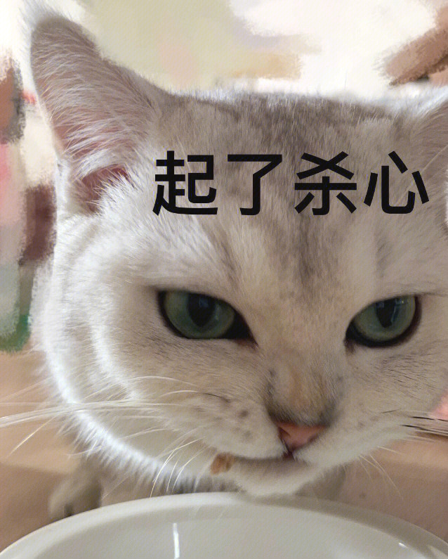 小猫咪表情敷衍版