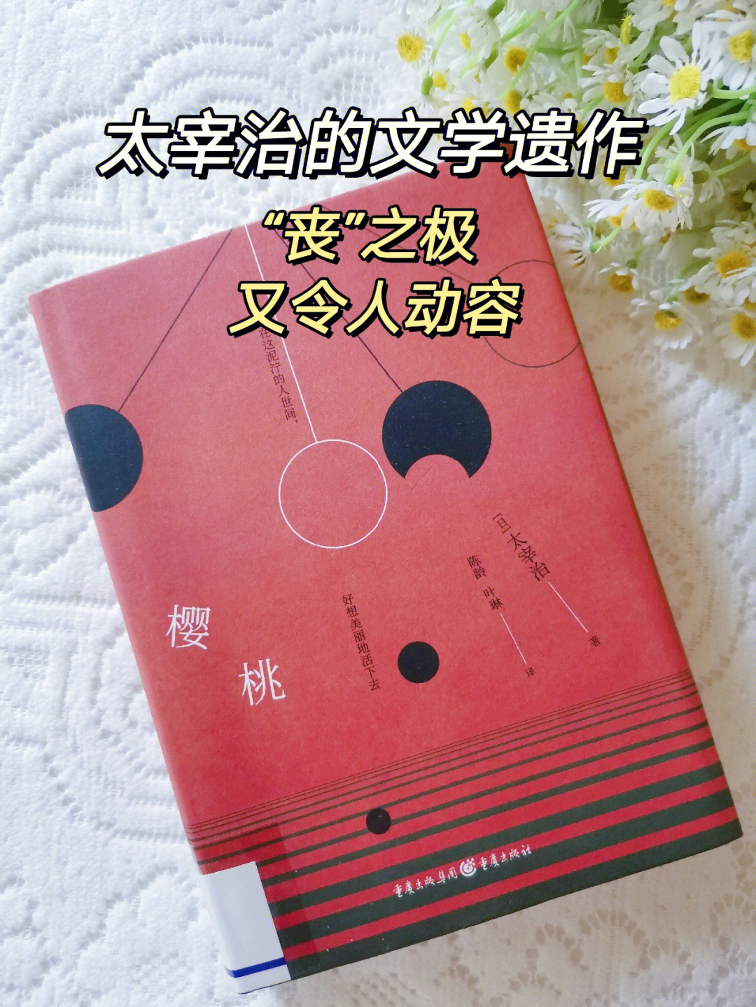 太宰治和樱桃的故事丧之极又令人动容75