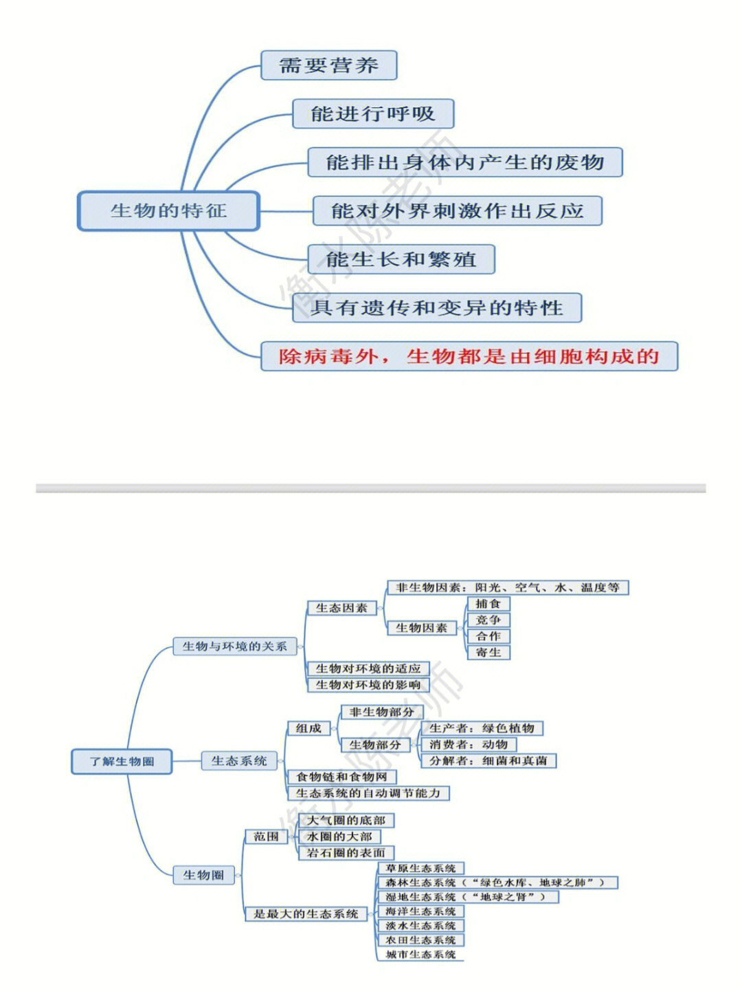 生物思维导图七上全书图片