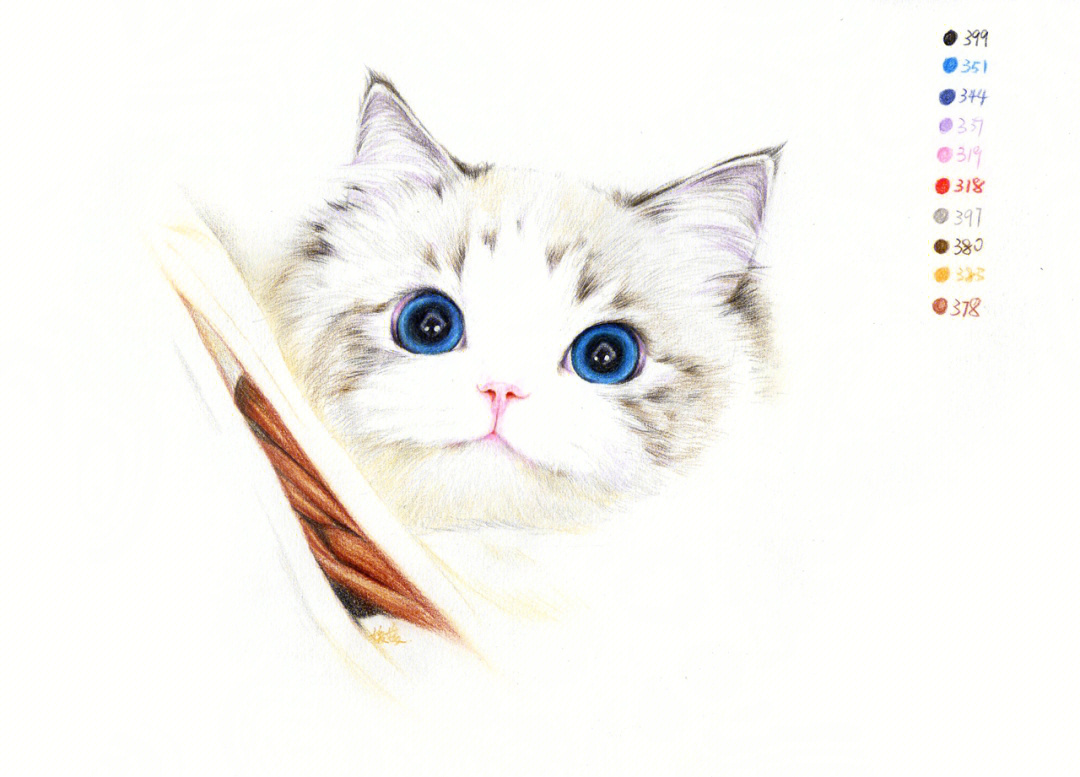 布偶猫图片唯美彩铅画图片