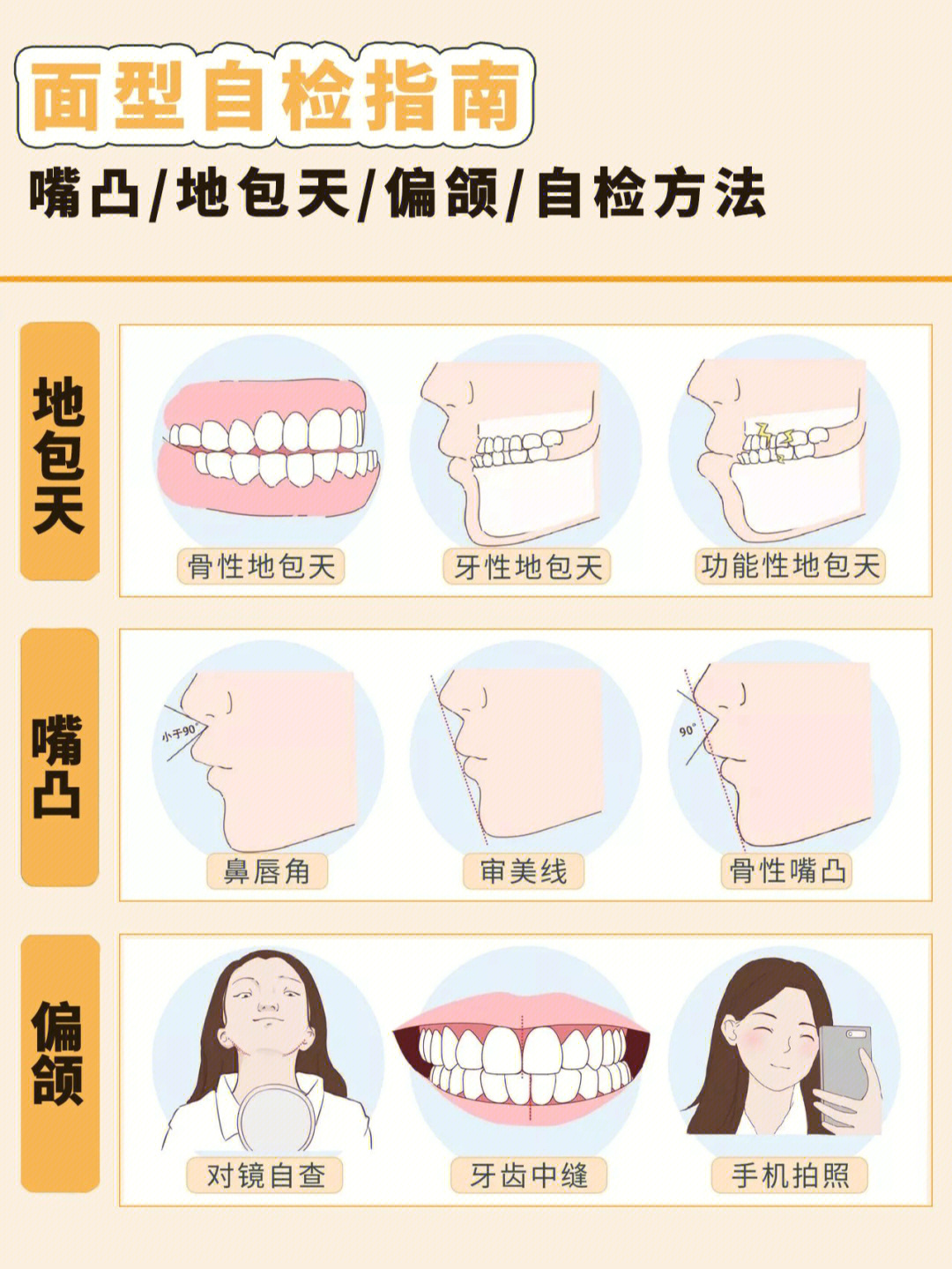 骨性和牙性的区别图片