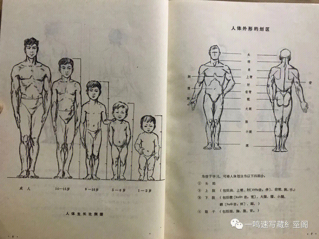 中国美院早期人体结构教材1