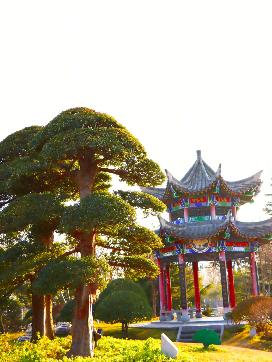 郑州绿博园都有啥景区图片