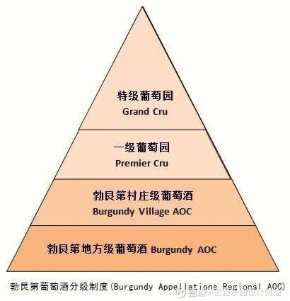 勃艮第酒庄分级名录图片