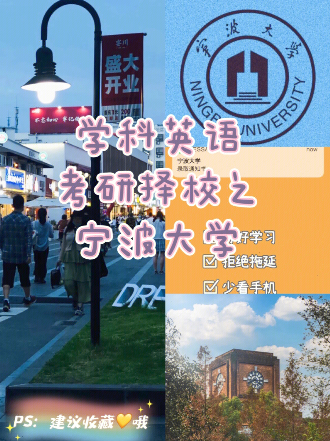 宁波大学国际商务图片