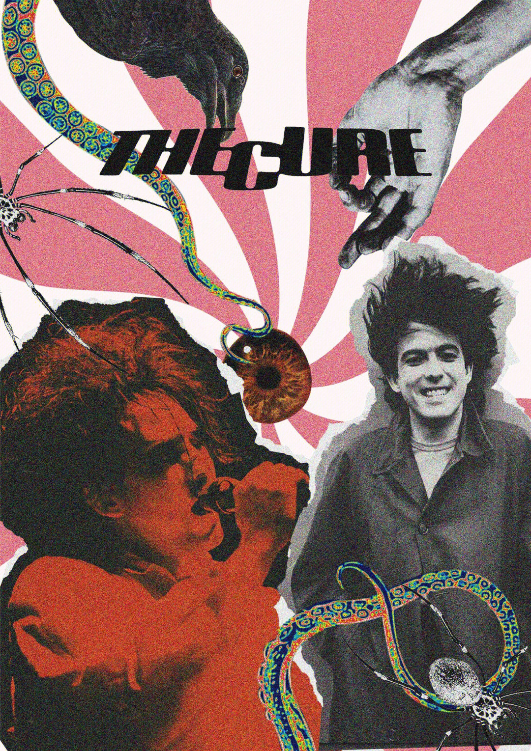 thecure主唱图片
