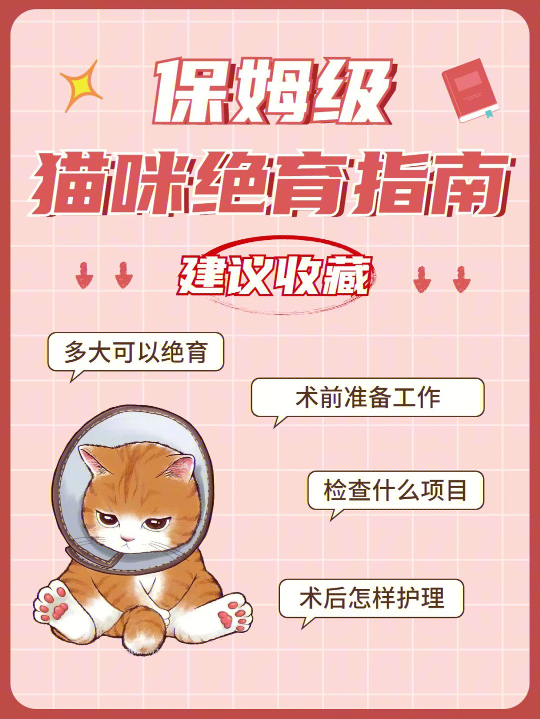 猫咪为什么要绝育图片