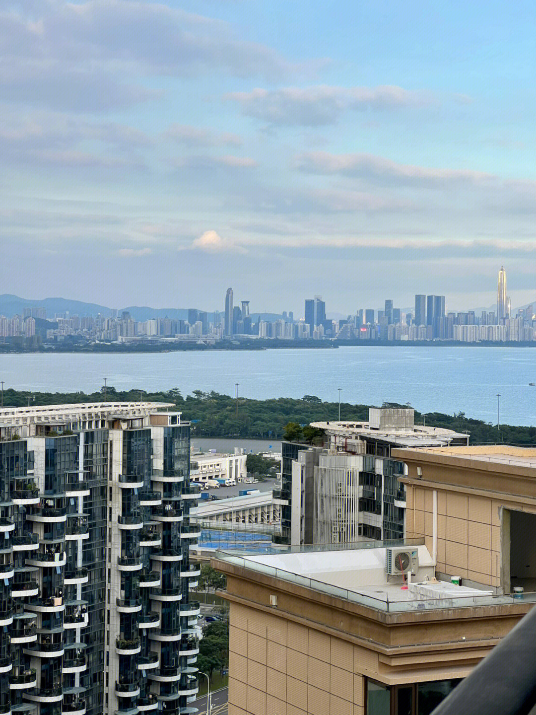 深圳湾现在急卖的房子分两种群体你知道吗