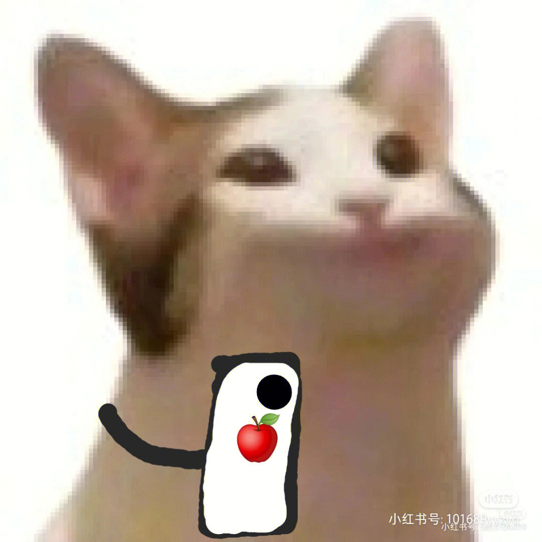 闺蜜头像popo猫1