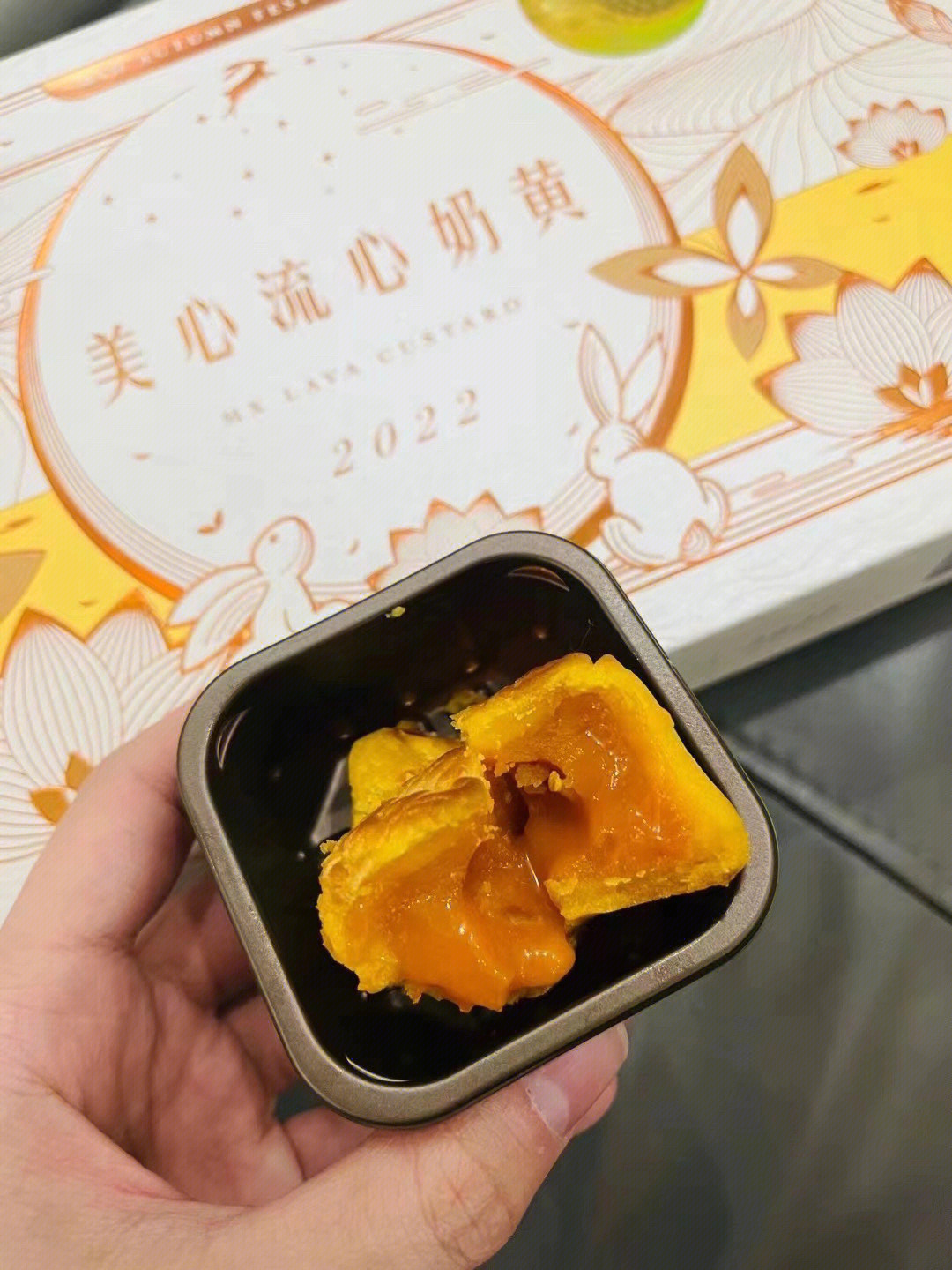 美心何老师图片