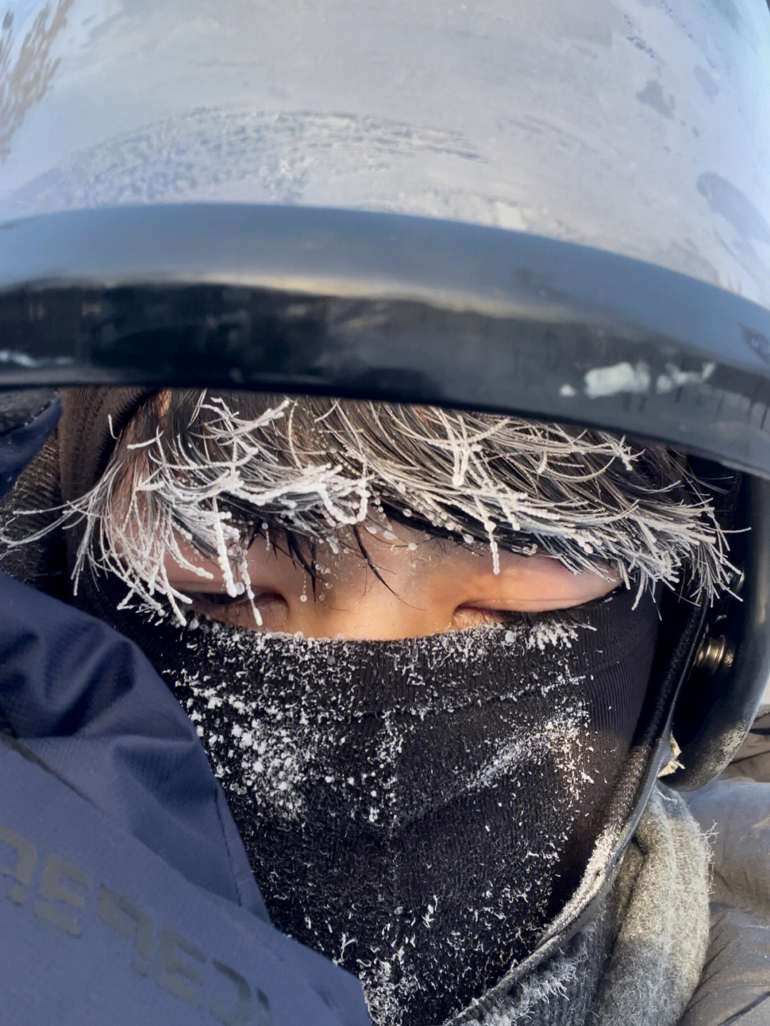 芬兰罗瓦涅米雪地摩托77雪橇一日游