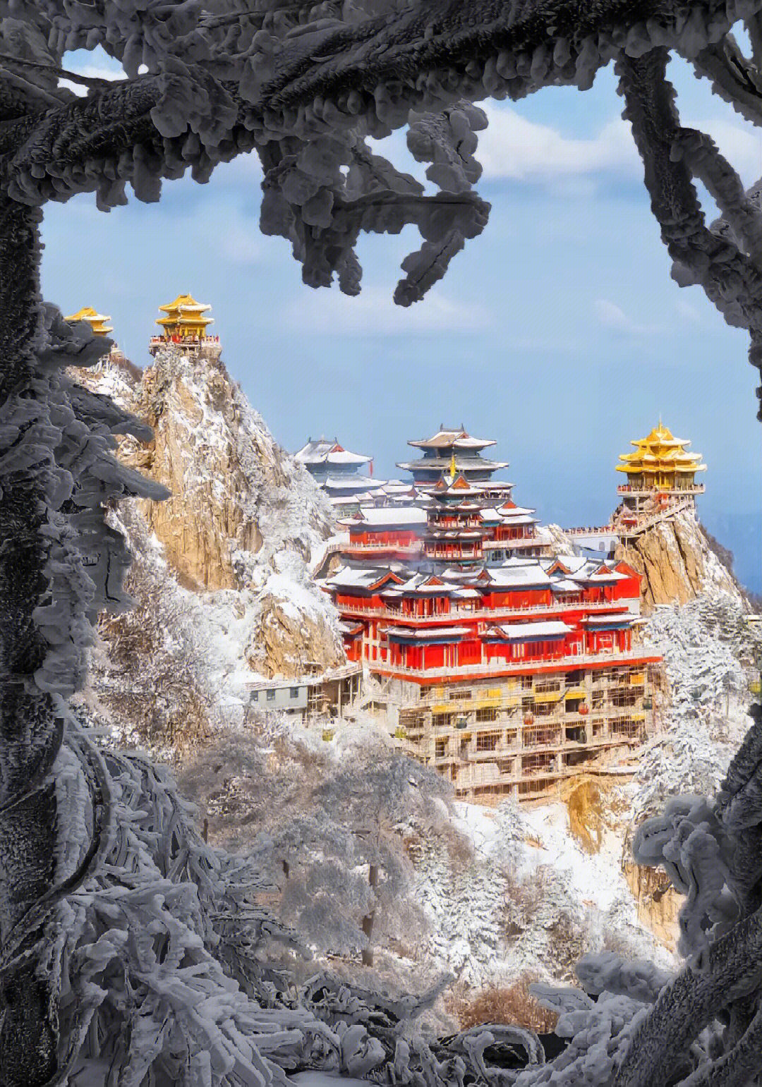 郑州旅行|老君山避坑攻略!