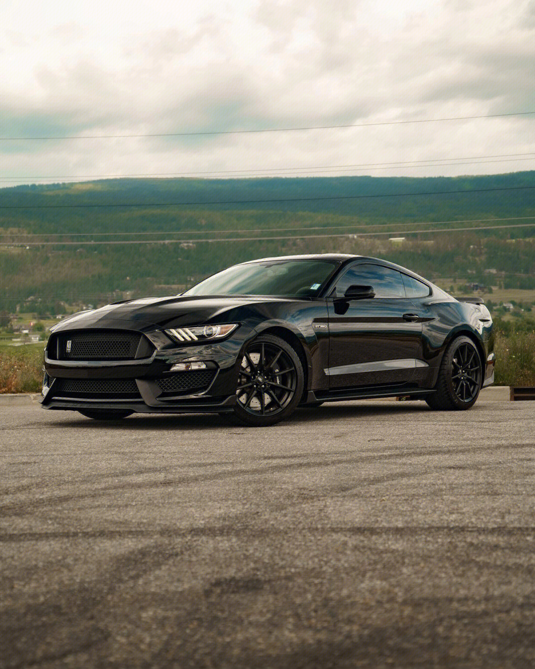 fordmustangshelbygt350