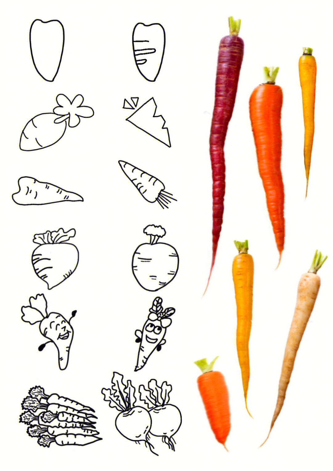 黑白简笔画胡萝卜carrot