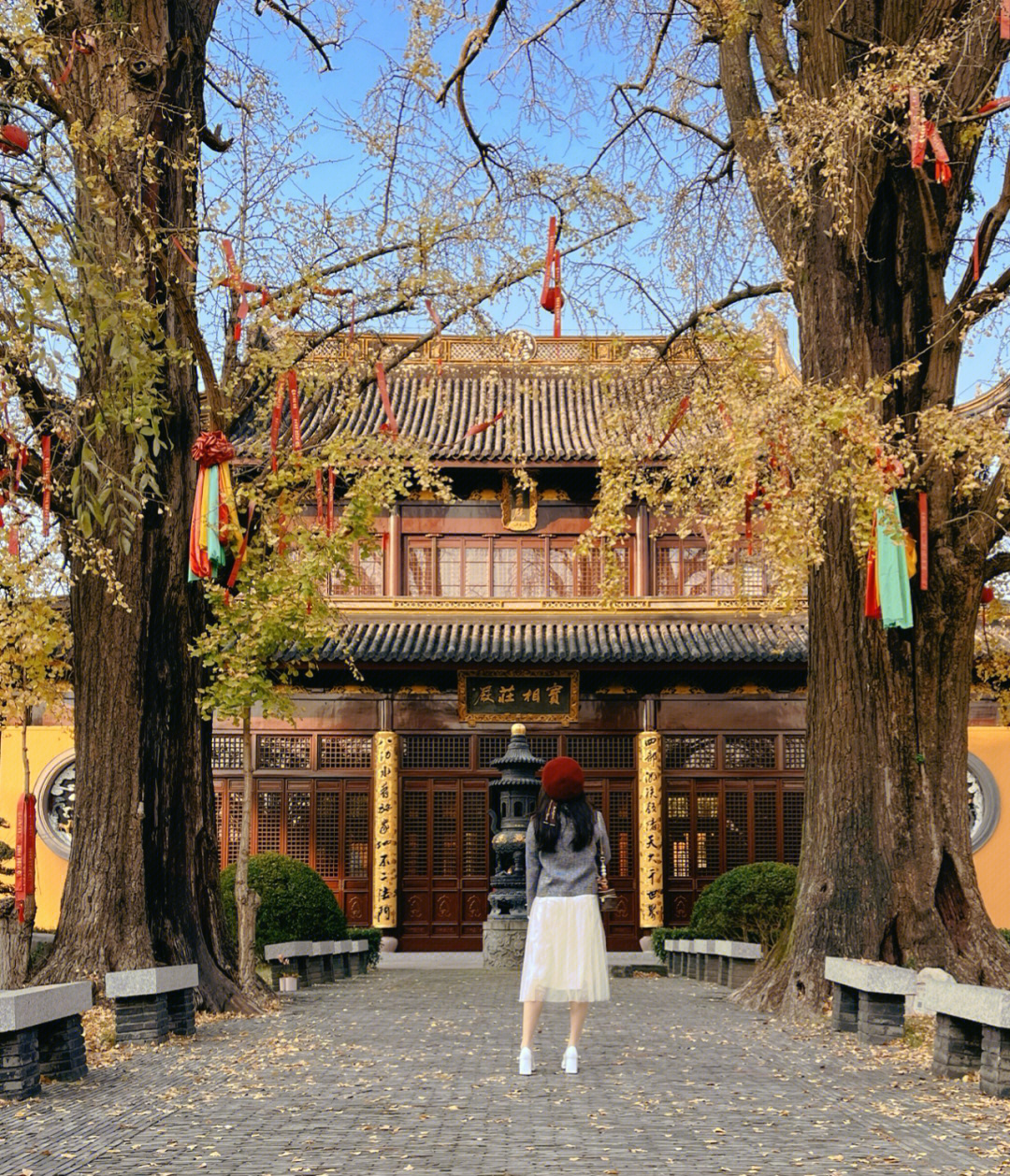 青浦庄严寺抓到今年银杏季节的尾巴