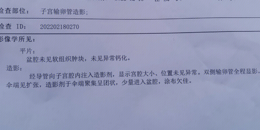 输卵管造影正常报告图片