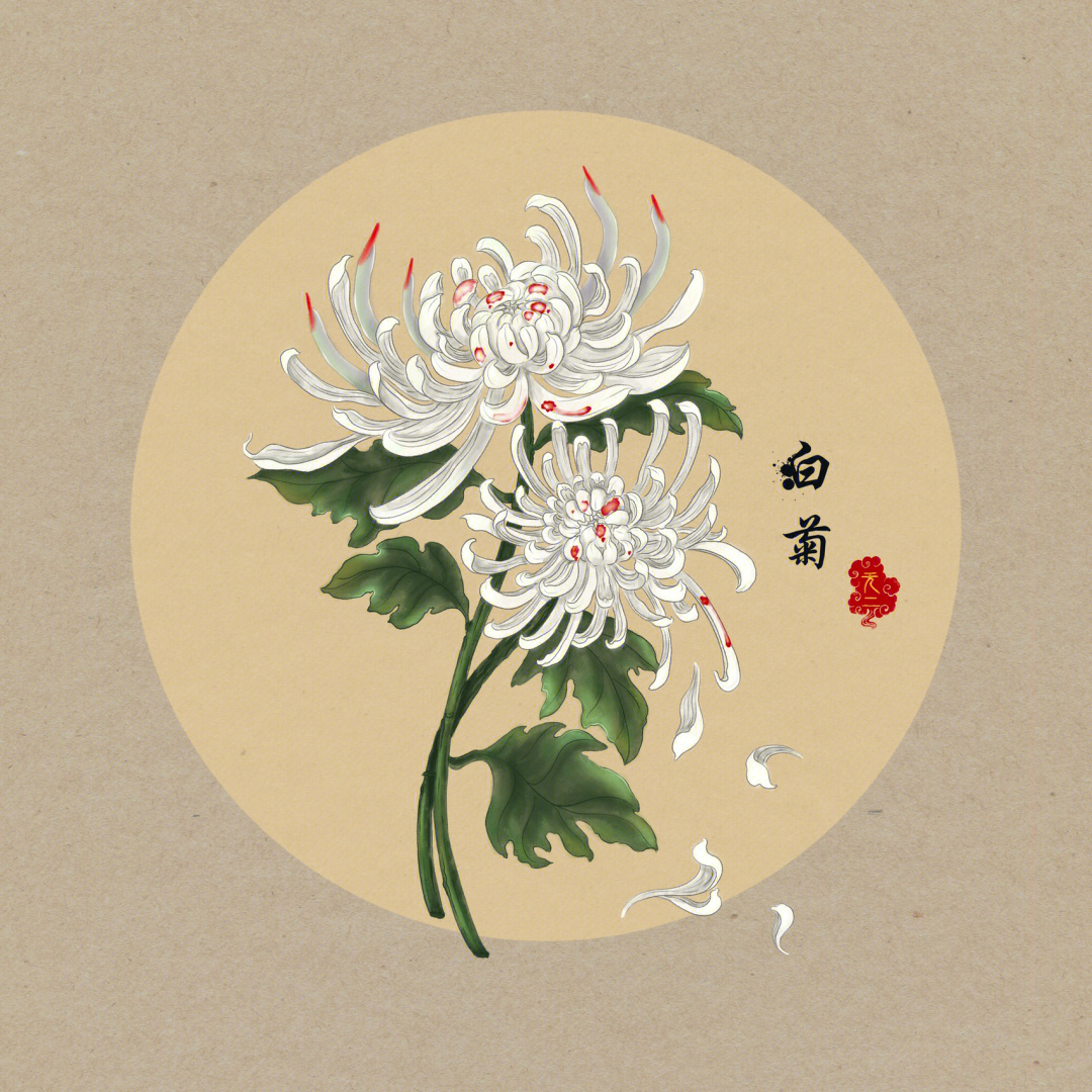 中式恐怖元素之白菊