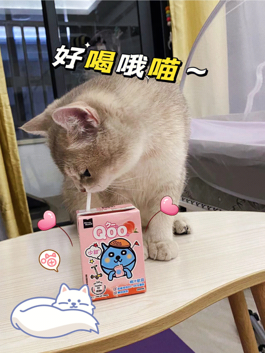 小猫咪偷喝饮料还这么理直气壮