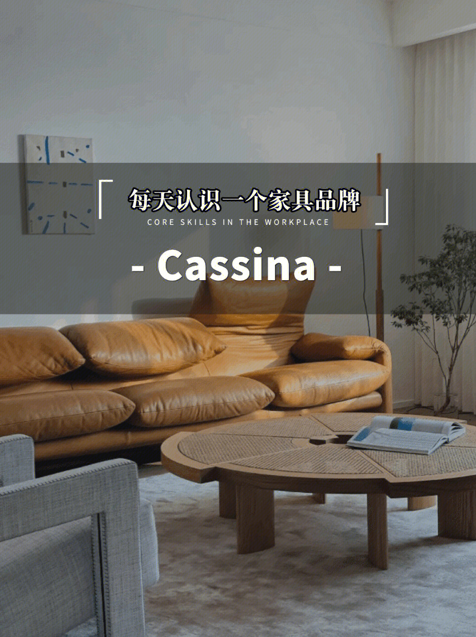 意大利网红沙发天花板cassina