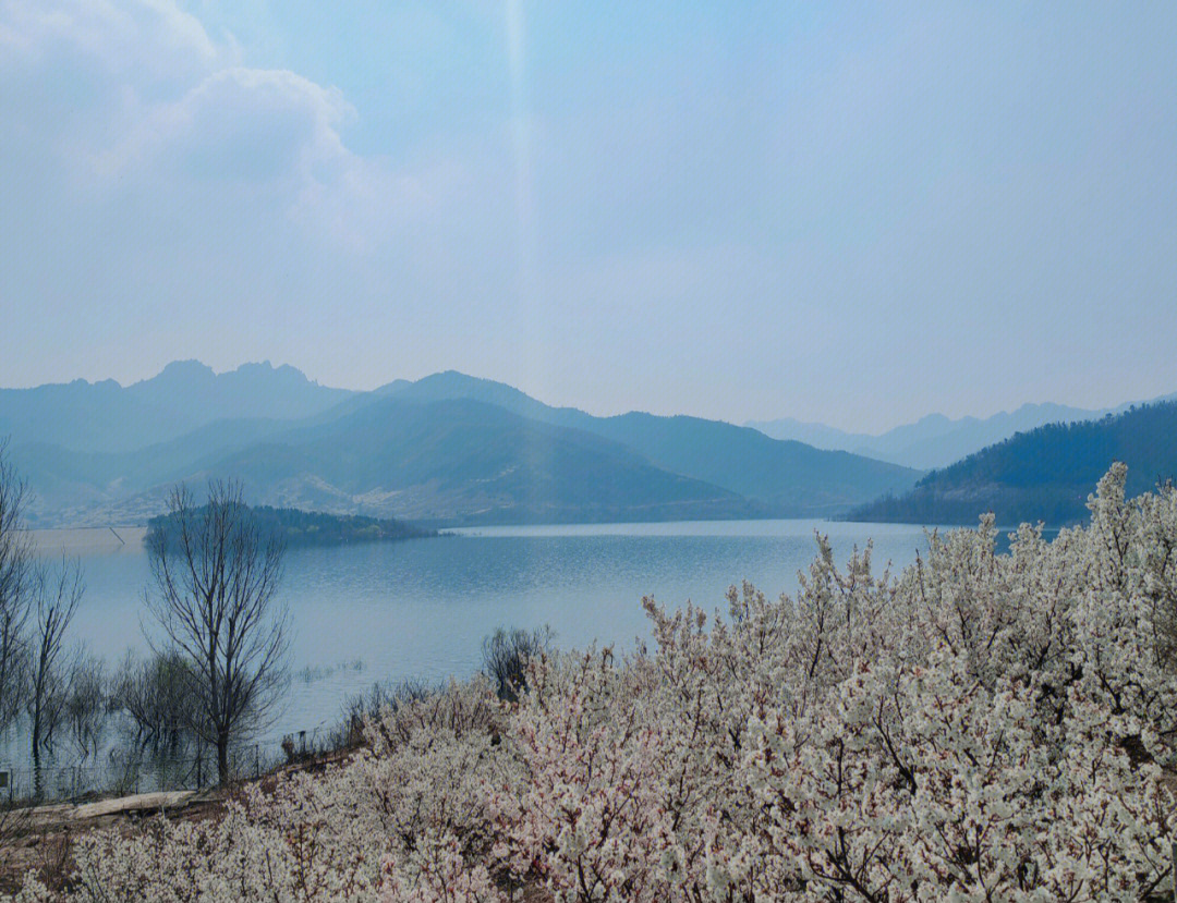 汕头市棉花水库图片