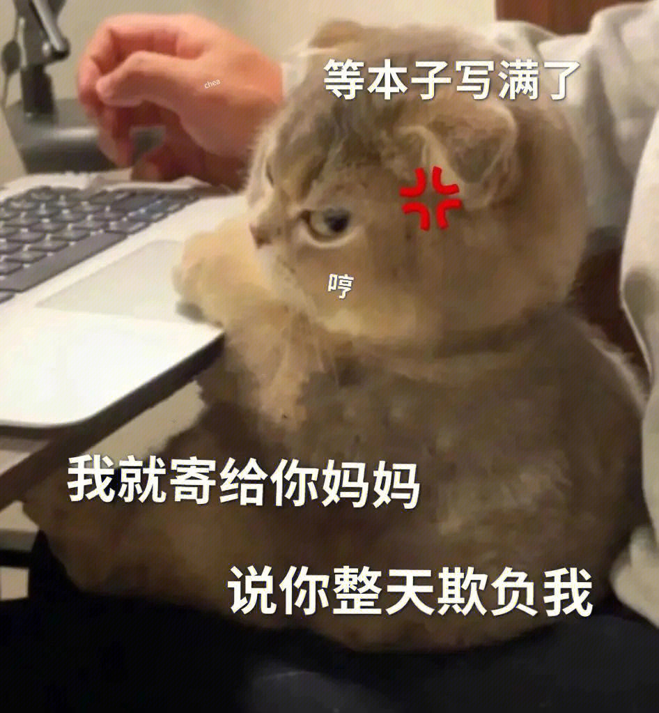 你莫走动画表情图片