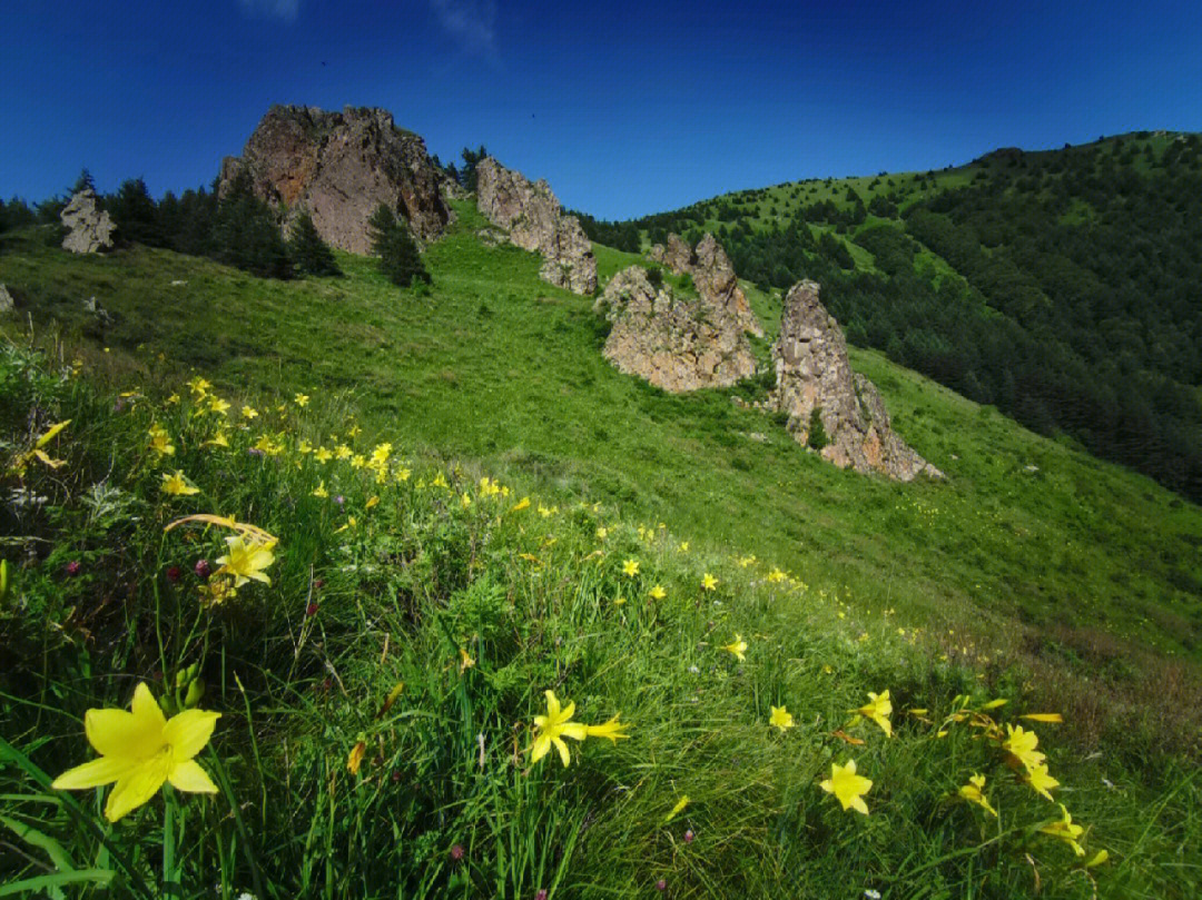 宜阳西灵山图片