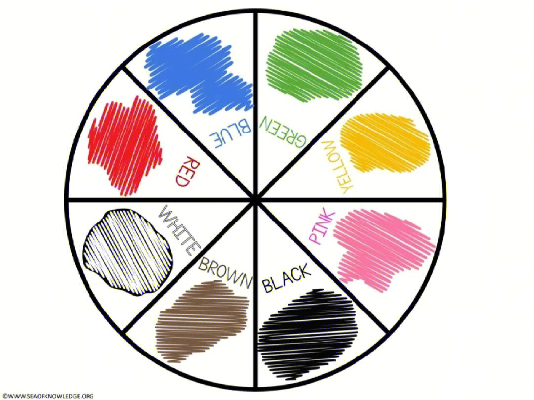 自制玩教具转盘颜色分类