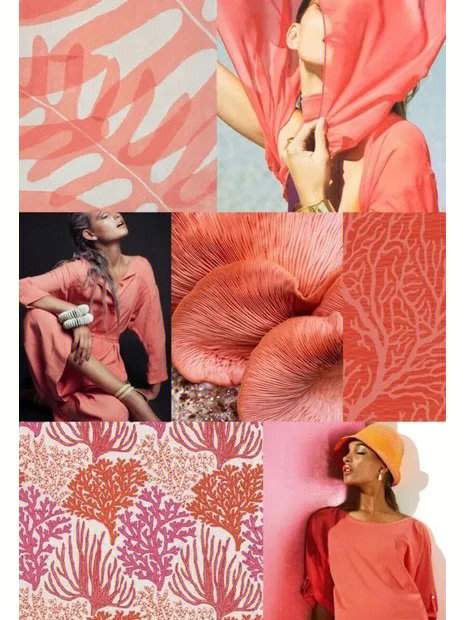 粉色系之:焦红珊瑚色