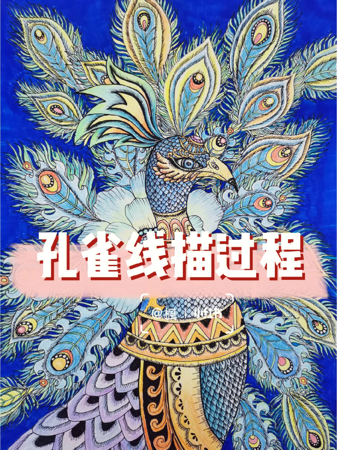 孔雀08线描绘画过程