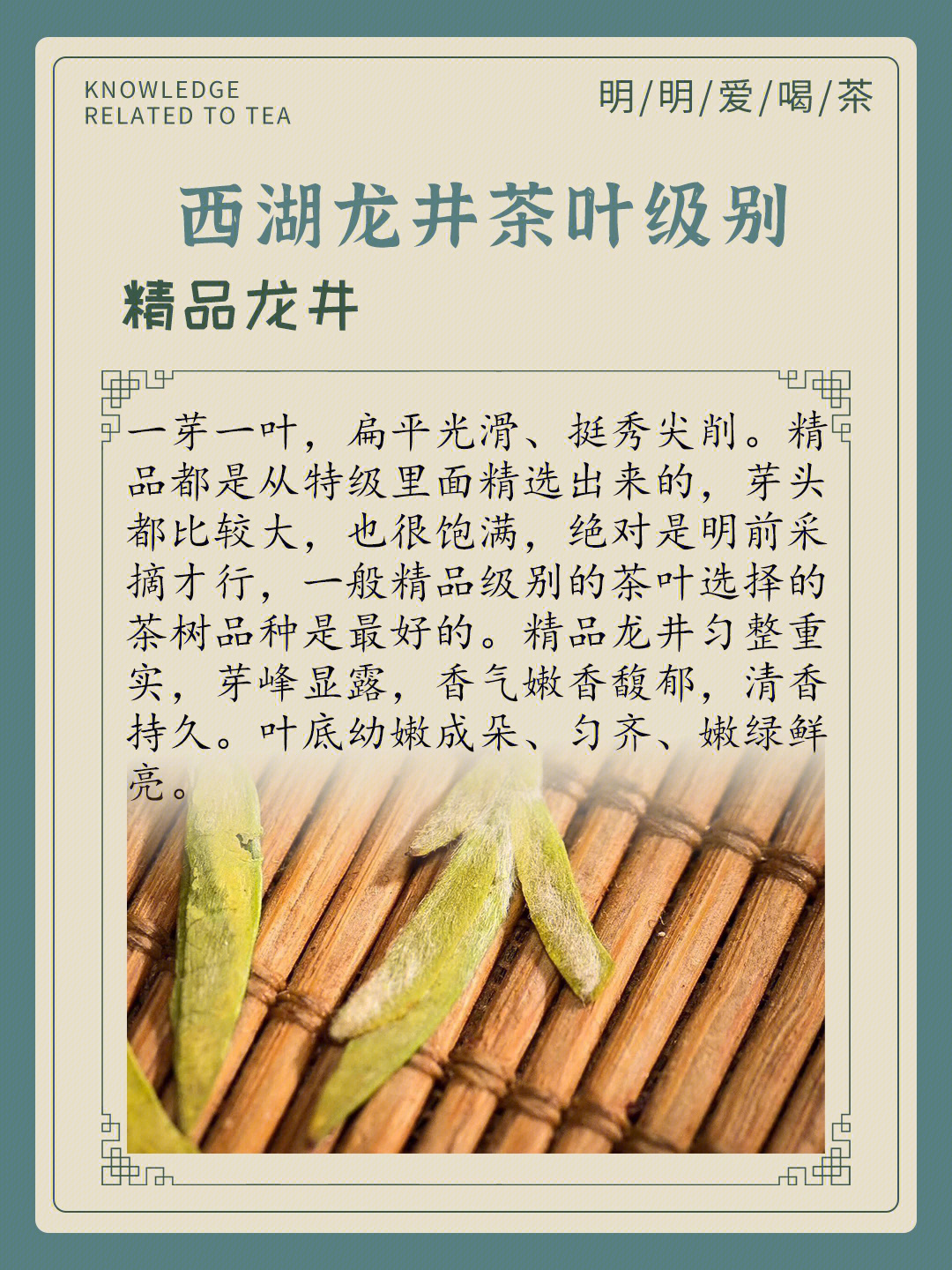 龙井茶图片 等级图片