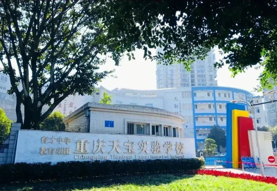 九龙坡区育才小学图片