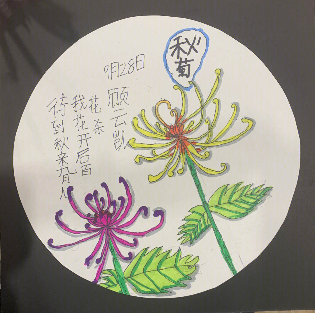 小学菊花绘画作品图片