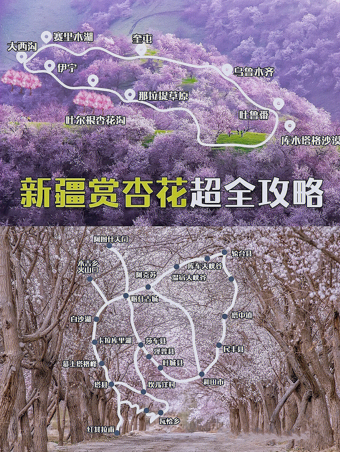 塔莎古道路线图图片