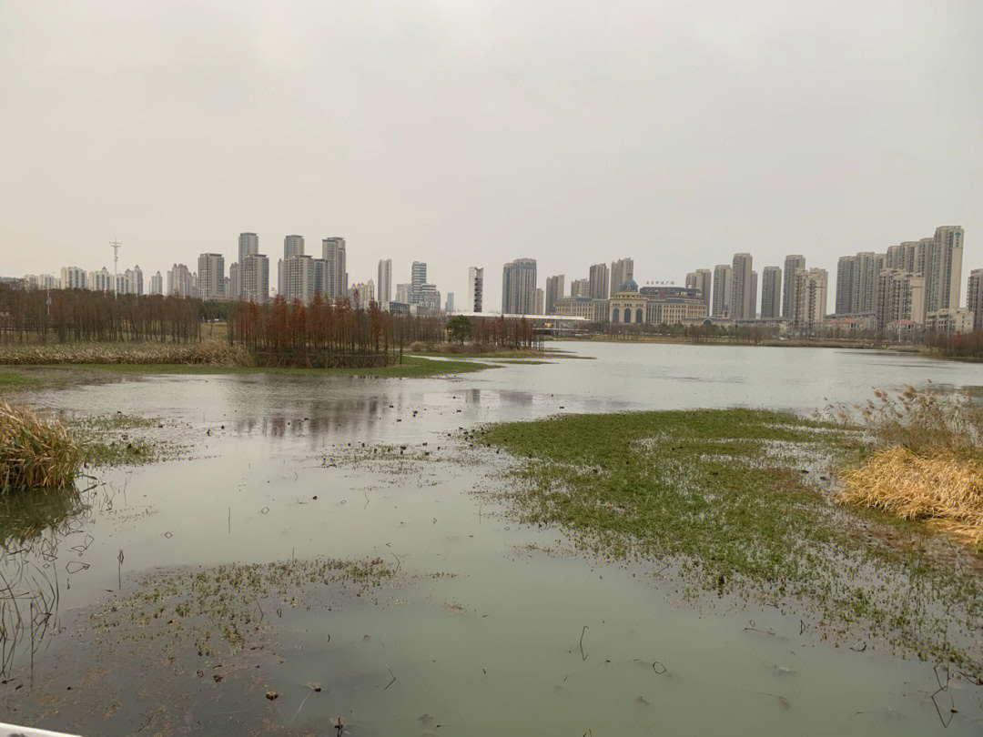 打卡看看味道怎么样最后打卡了地上地铁01高架站,很棒的地铁站设计