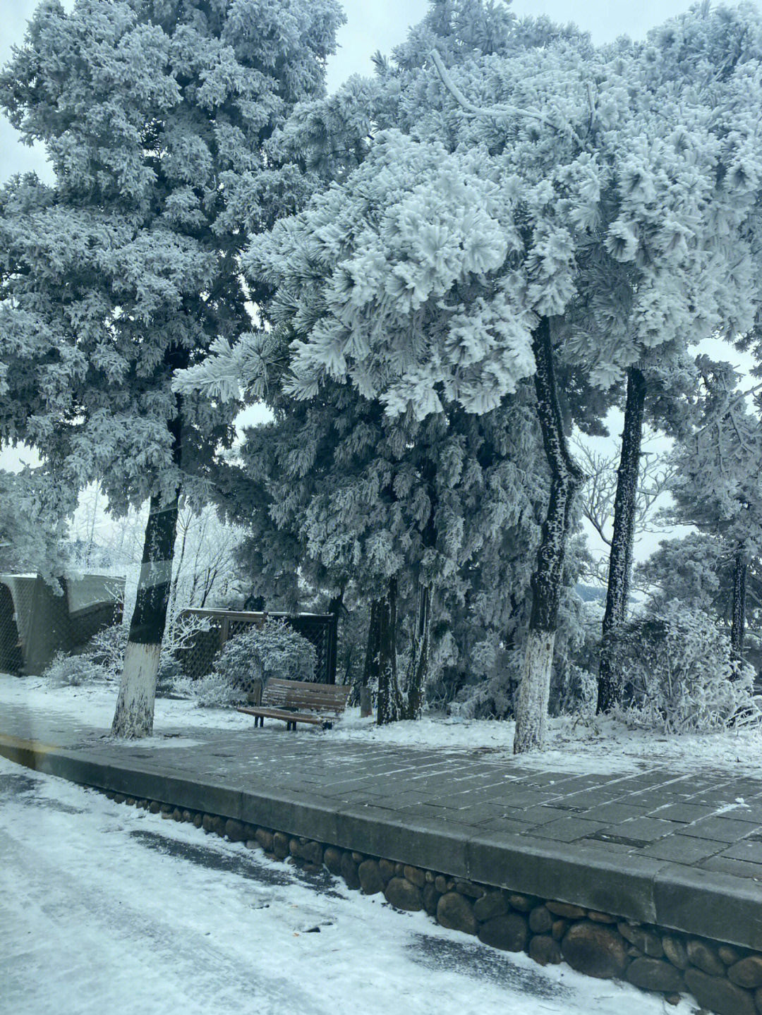 南方下雪的照片图片