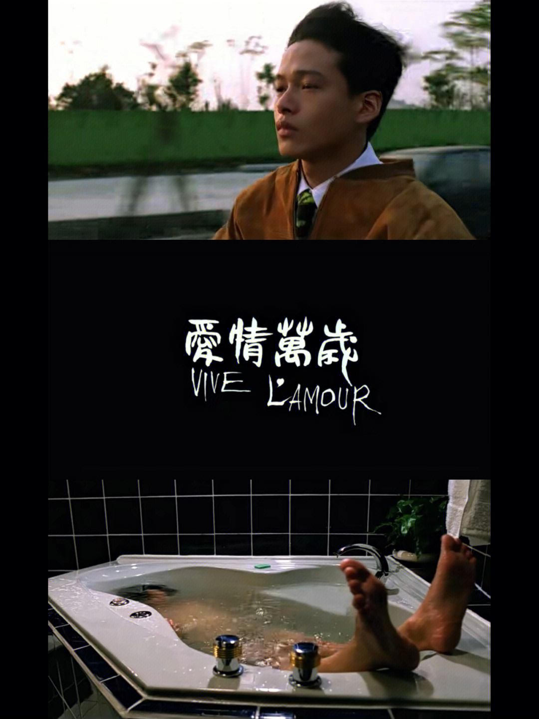 观影记录第二十四部爱情万岁1994