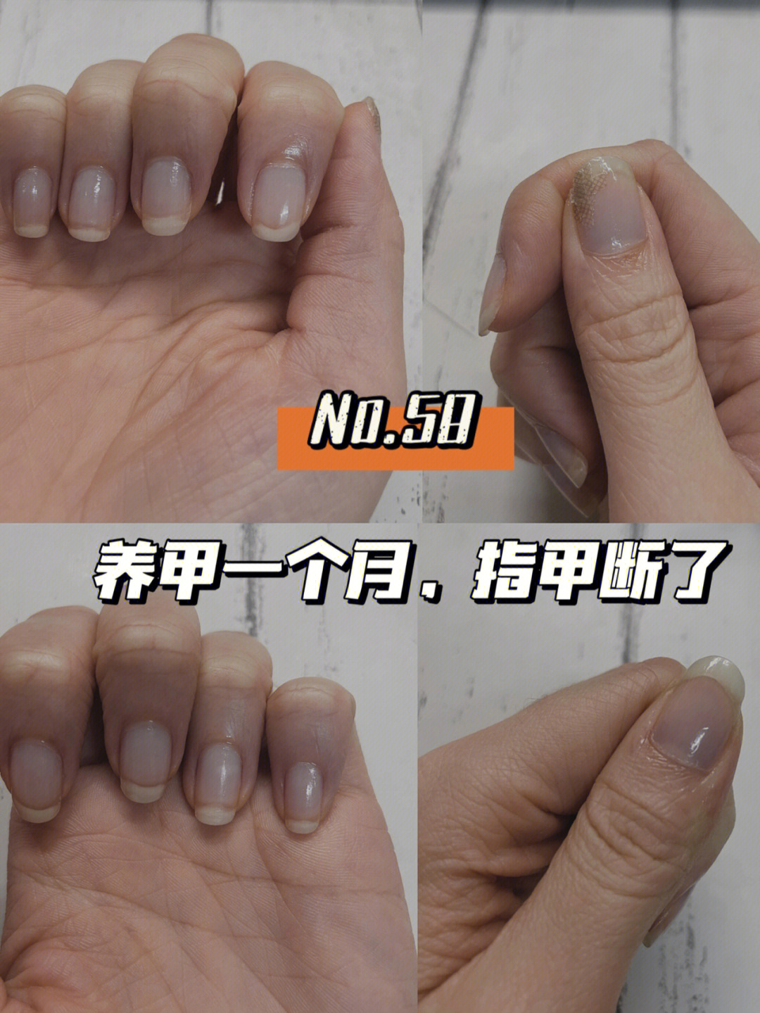 [no.58]养甲一个月,指甲断了,我也裂开了