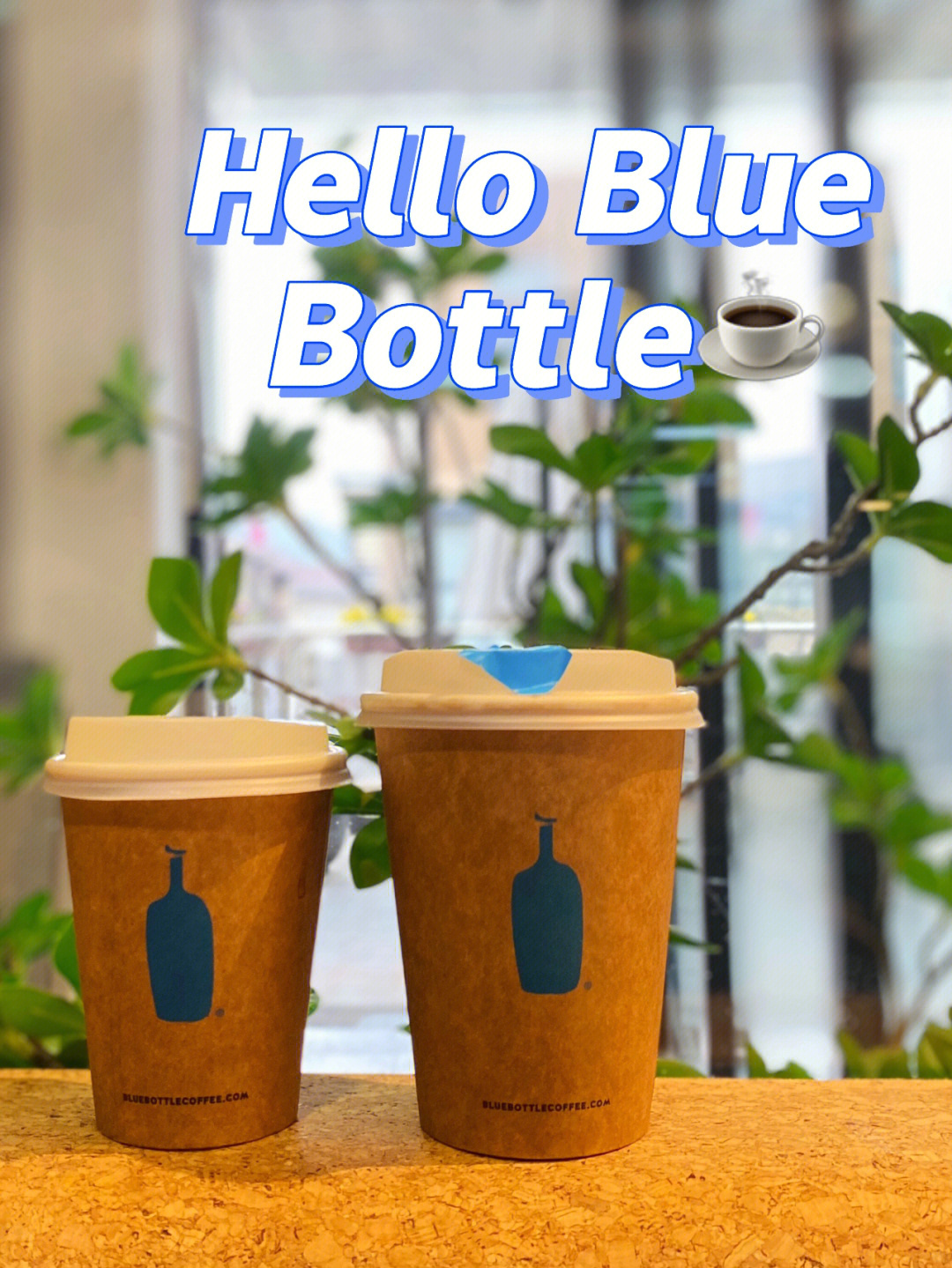 bottle蓝瓶咖啡  