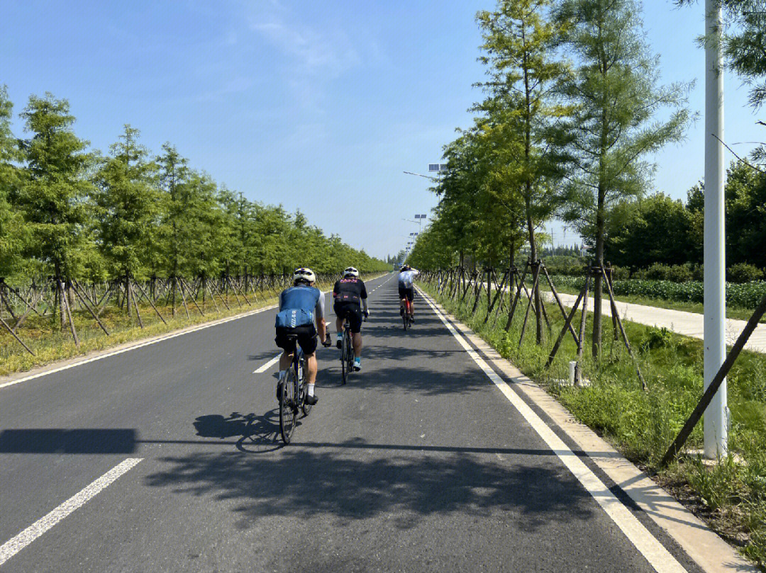 周日趁早去崇明,三个大腿带我100km耐热骑行,最后五公里实在跟不住