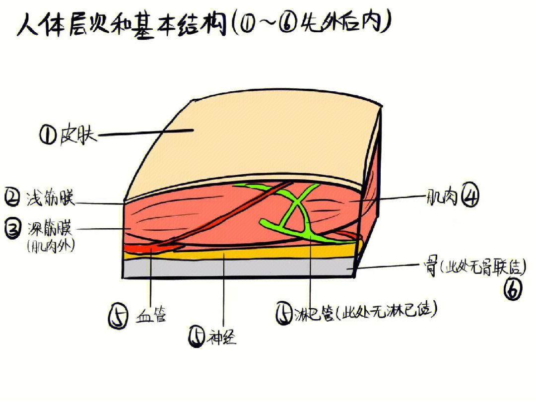 局解图回炉重造版