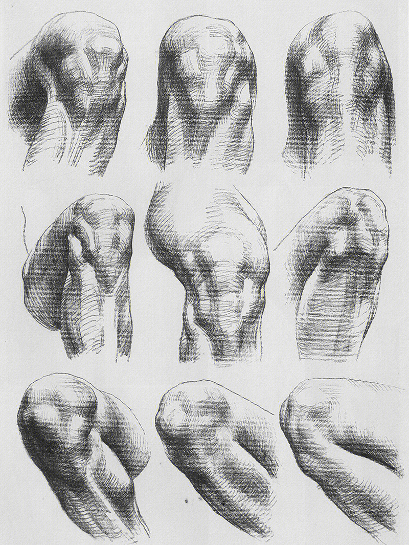 人体结构解析膝盖艺术考研绘画素材