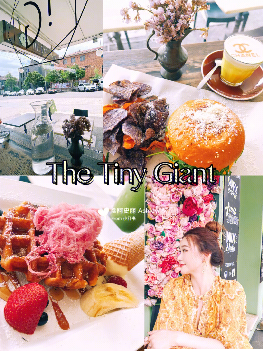 the giant main chute图片