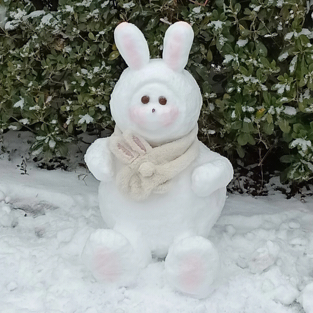 抖音兔子雪人图片