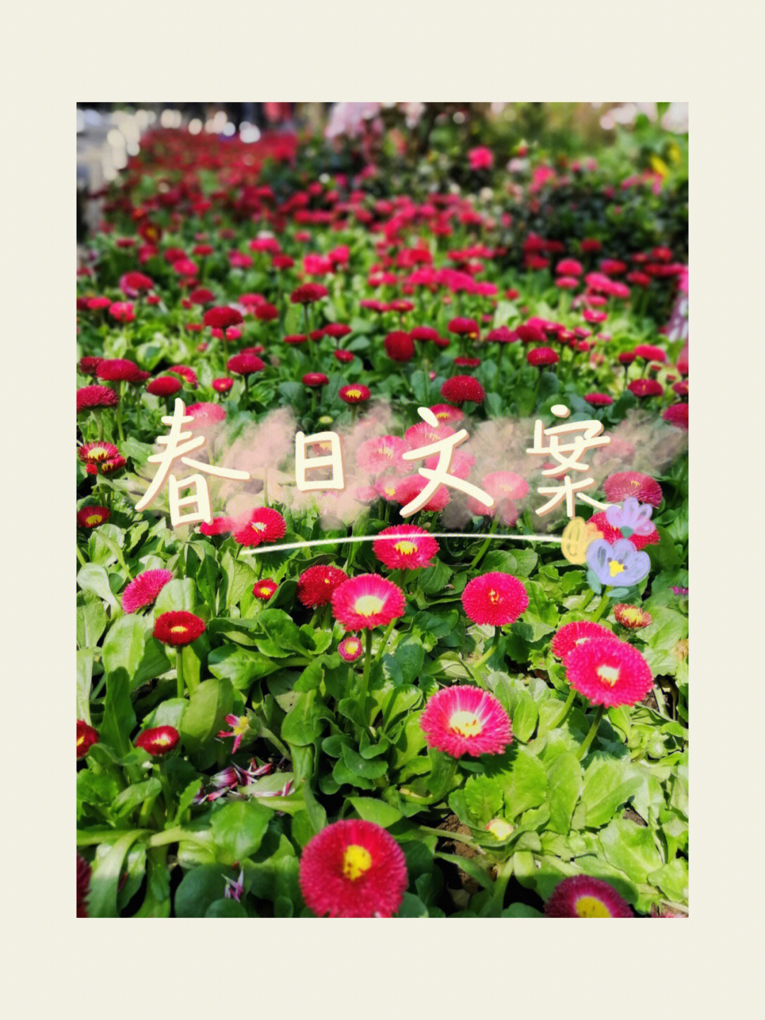 中的欢喜文案来源:网络#春日文案#手写文案#手写#春天#春天文案