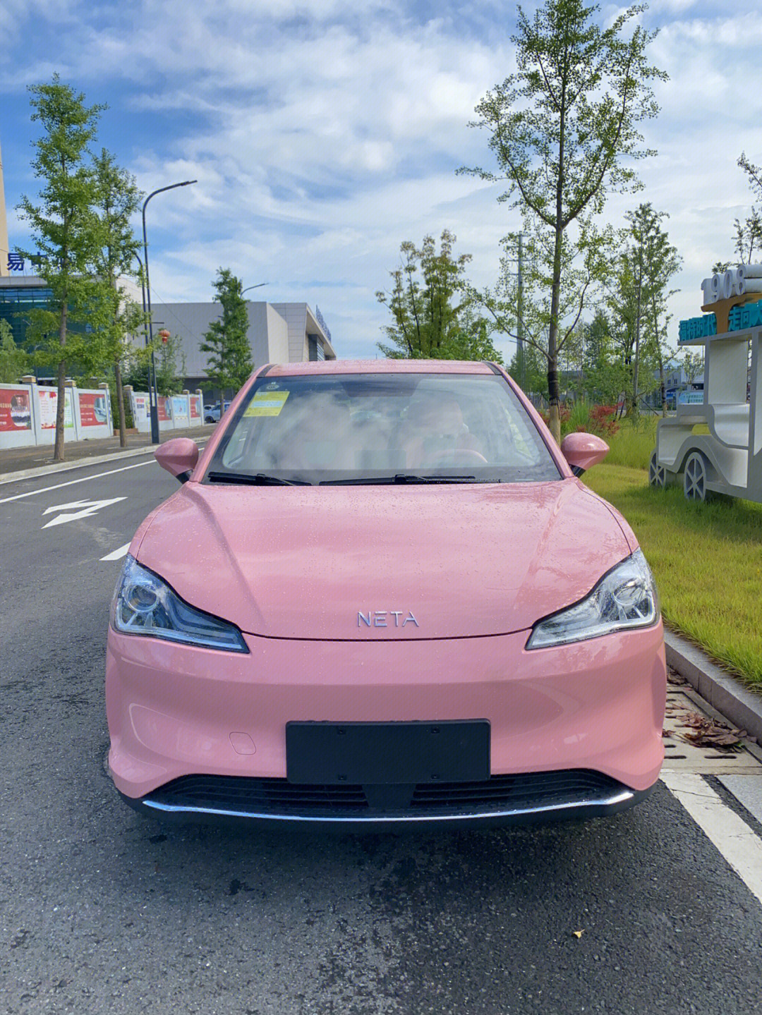 neta汽车粉色图片
