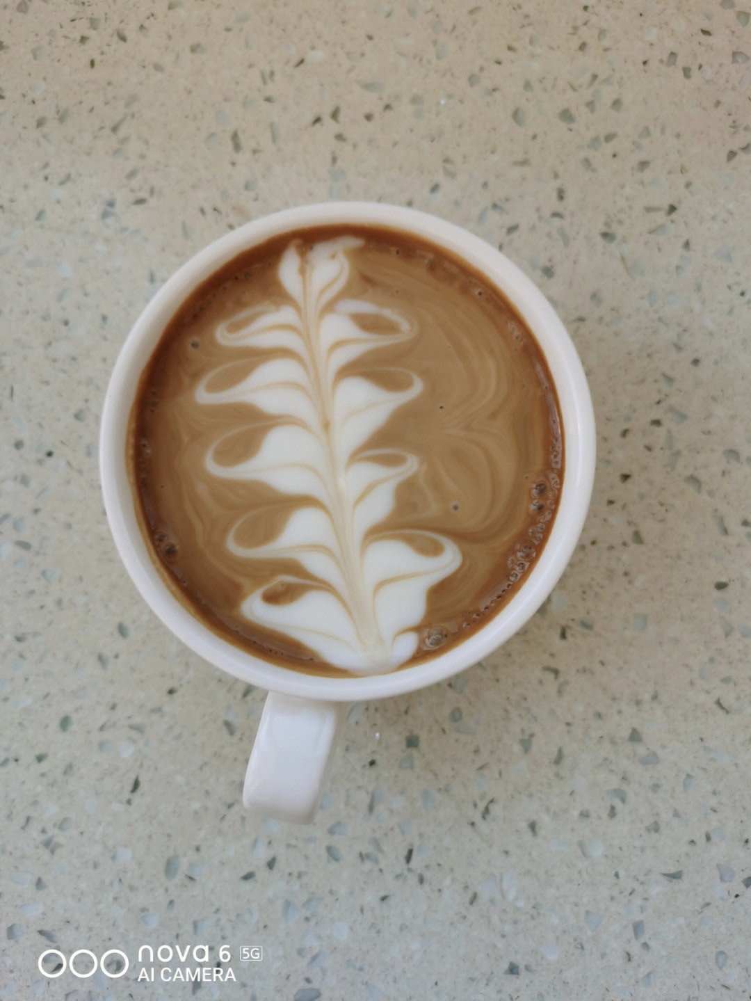 咖啡雕花四叶草图片